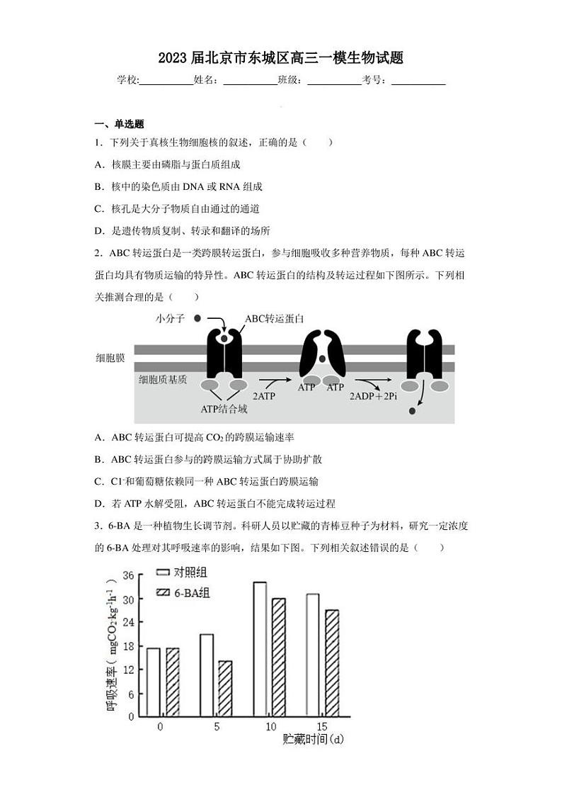 2023届北京市东城区高三一模生物试题（含答案解析）01