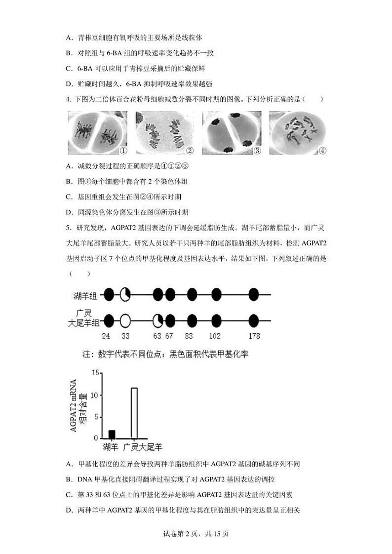 2023届北京市东城区高三一模生物试题（含答案解析）02
