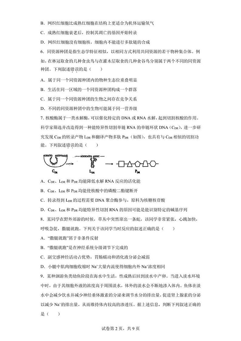 2023届广东省广州市高三综合测试（二）生物试题（含答案解析）02