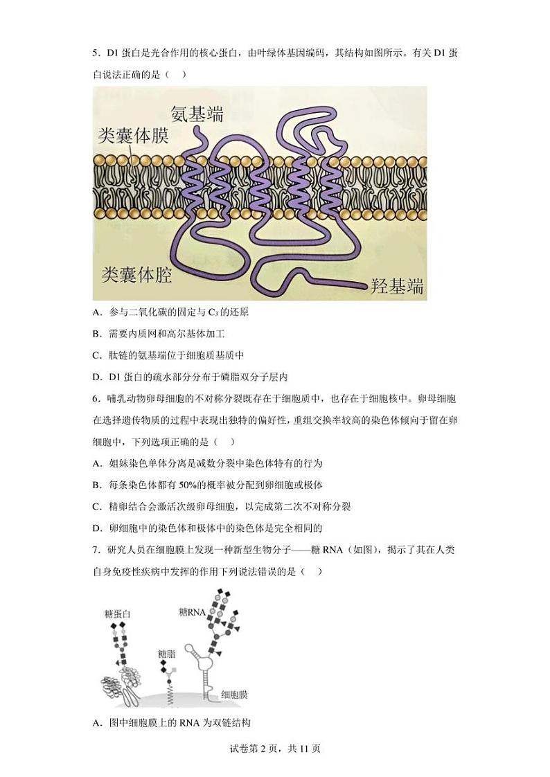 2023届河北省邯郸市高三二模生物试题（含答案解析）02
