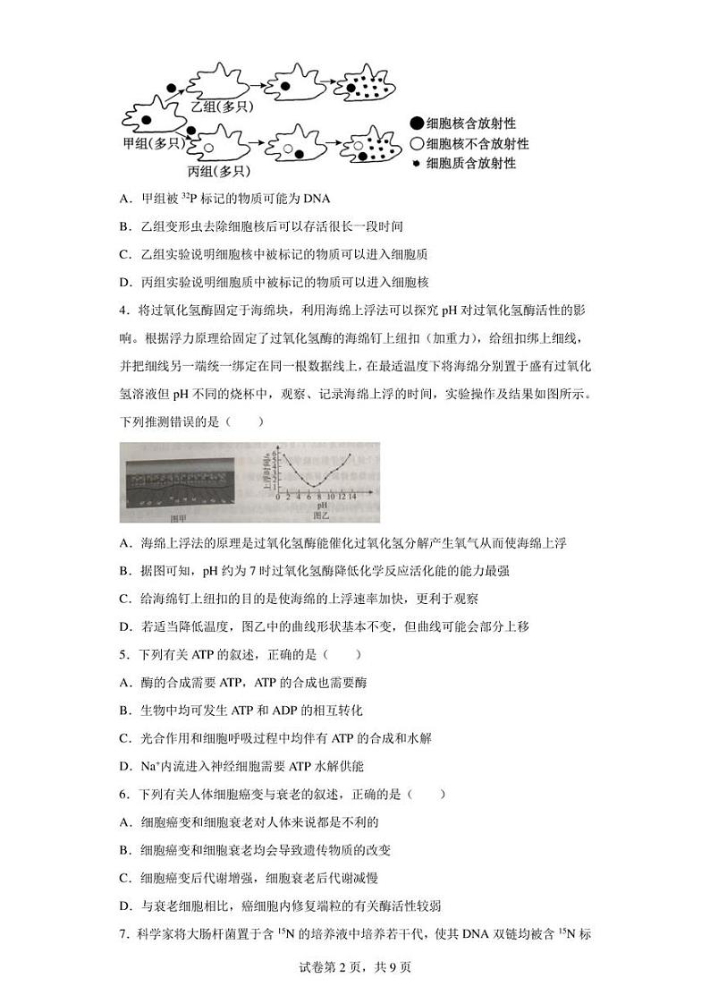2023届河北省张家口市高三二模生物试题（含答案解析）02