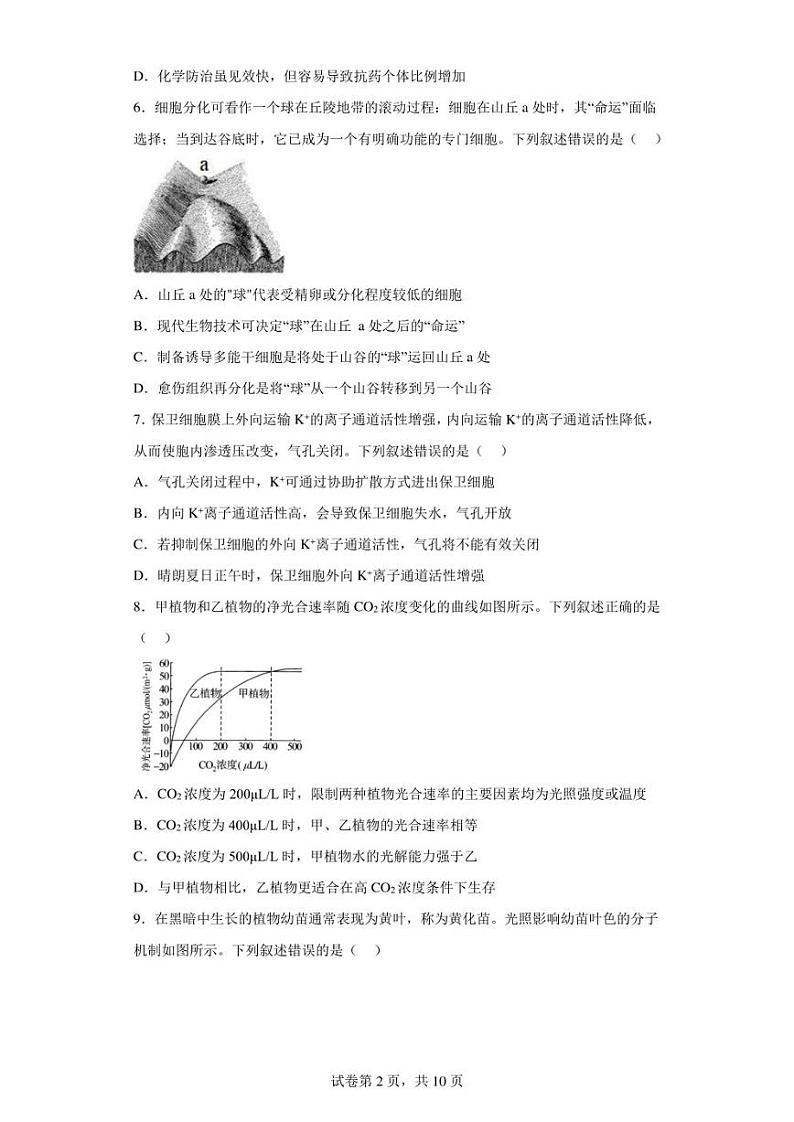 2023届湖北省武汉市高三4月调研考试生物试题（含答案解析）02