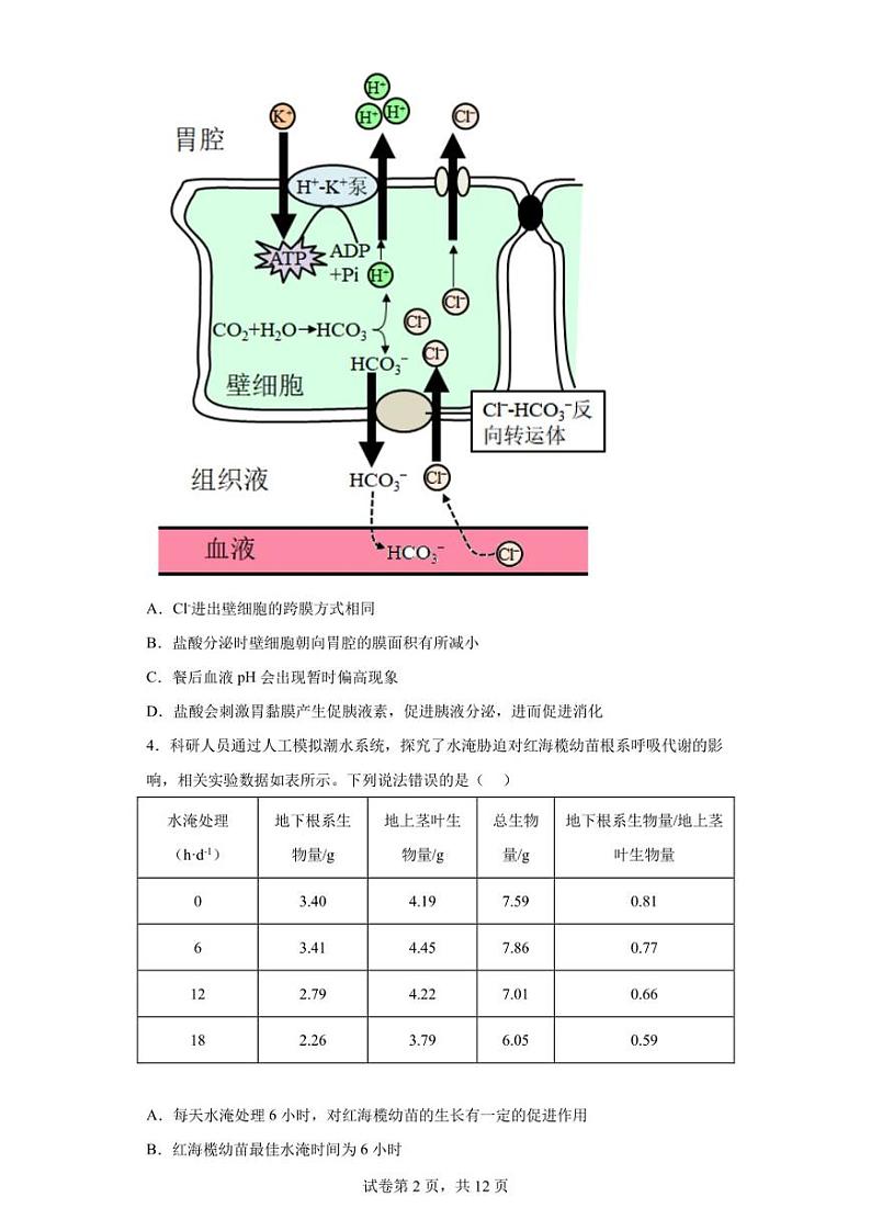 2023届山东省新高考联合模拟考试济南市高三二模生物试题（含答案解析）第2页