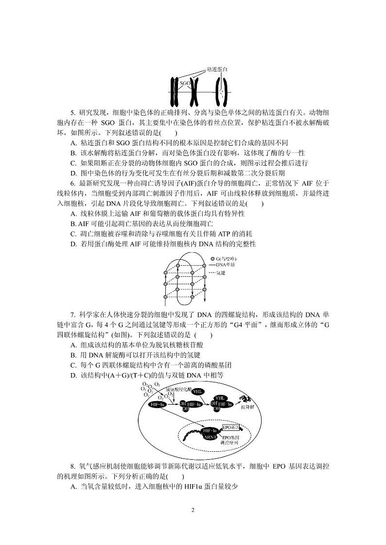 2021届江苏省南京师范大学附属中学高三下学期5月模拟考试 生物 PDF版02