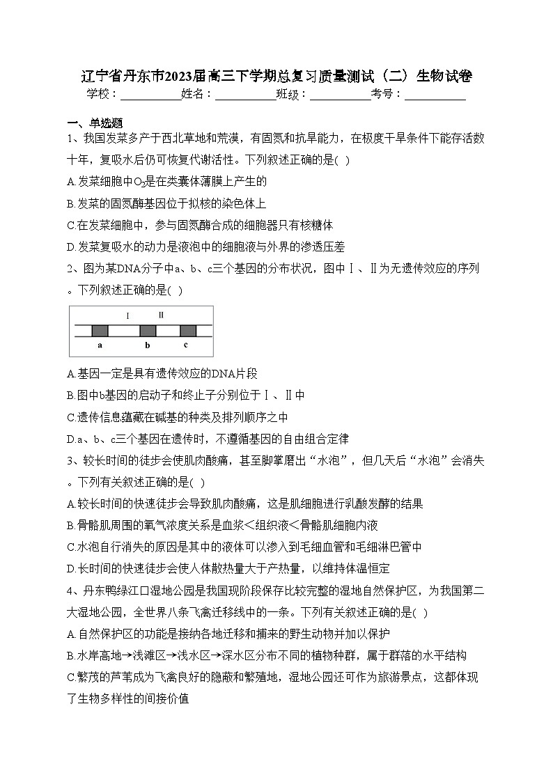 辽宁省丹东市2023届高三下学期总复习质量测试（二）生物试卷（含答案）01