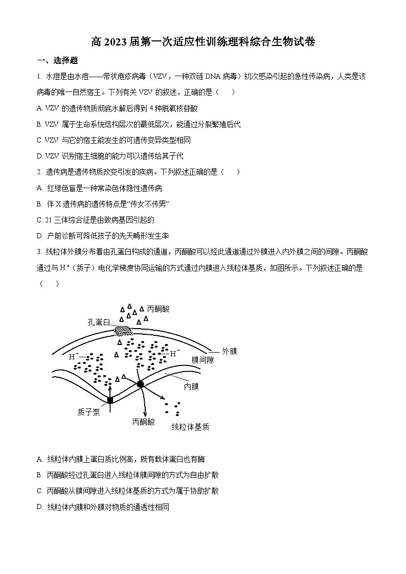 陕西省西北工业大学附中2022-2023学年高三上学期第一次适应性理综生物试题（原卷版）01