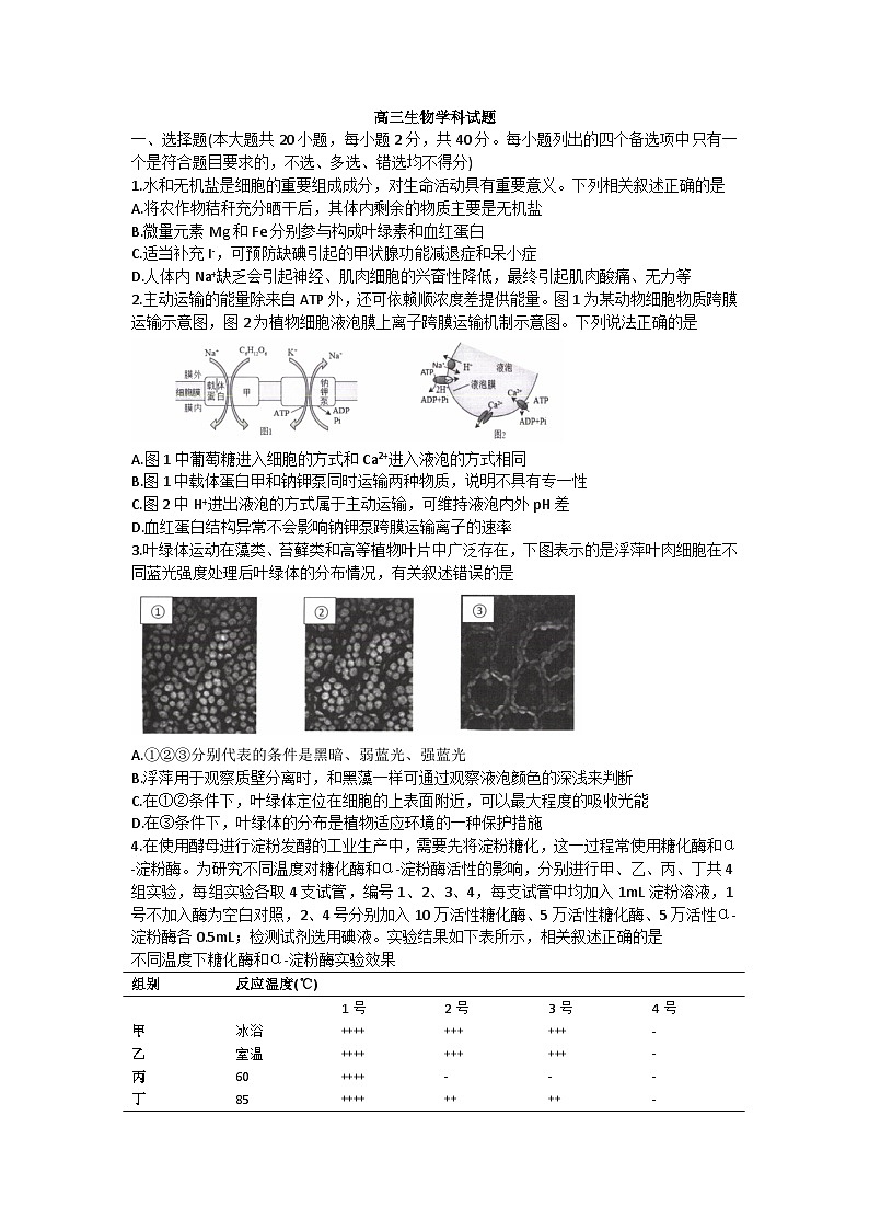 浙江省北斗星盟2022-2023学年高三下学期联考生物试题+Word版含答案第1页