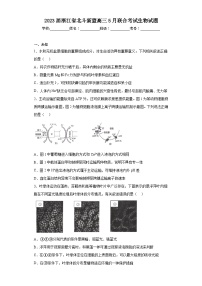 2023届浙江省北斗新盟高三5月联合考试生物试题（无答案）