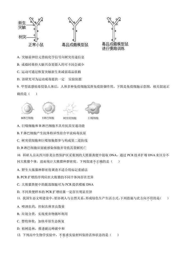 2022-2023学年北京市海淀区高三下学期期中考试（一模）生物（PDF版）03