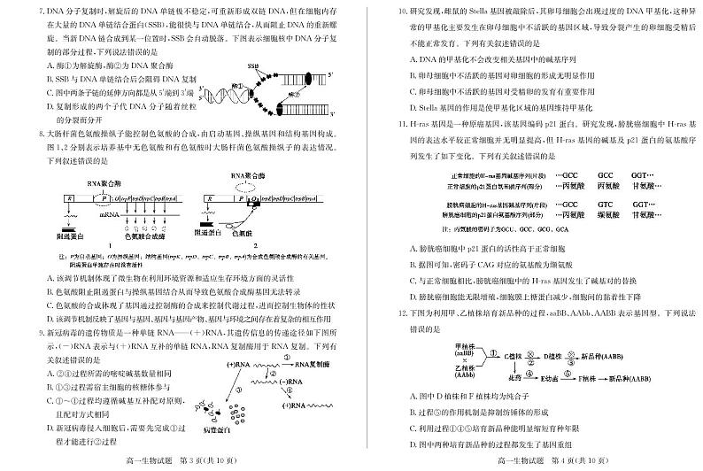山东省德州市2021-2022学年高一下学期生物试题+答案02