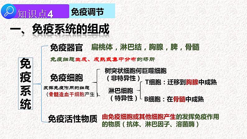 2022届高三生物二轮复习课件  专题十 内环境稳态及免疫调节第6页