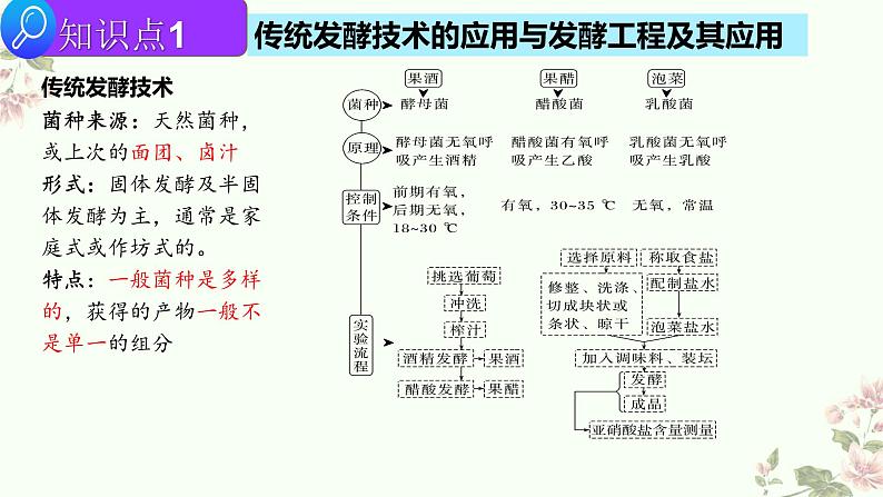 2022届高三生物二轮复习课件 专题 十四  生物技术与工程第2页