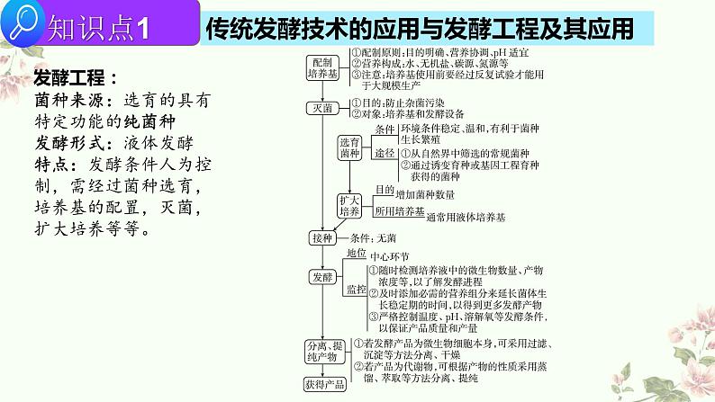 2022届高三生物二轮复习课件 专题 十四  生物技术与工程第3页