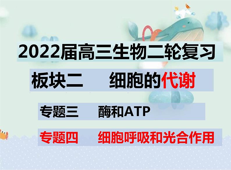 2022届高三生物二轮复习课件 专题四 细胞呼吸和光合作用第1页