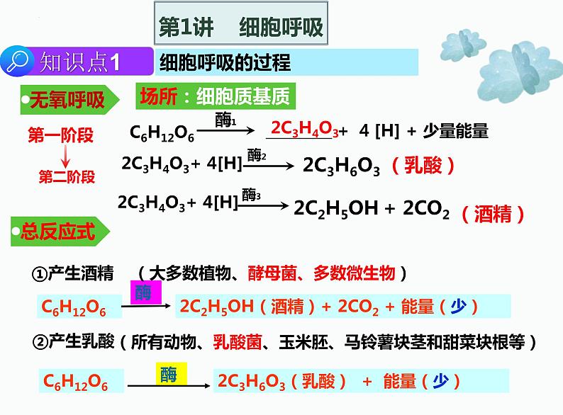 2022届高三生物二轮复习课件 专题四 细胞呼吸和光合作用第3页