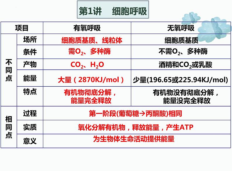 2022届高三生物二轮复习课件 专题四 细胞呼吸和光合作用第5页