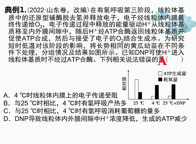 2022届高三生物二轮复习课件 专题四 细胞呼吸和光合作用第6页