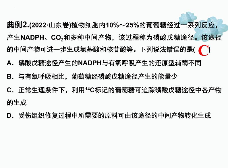 2022届高三生物二轮复习课件 专题四 细胞呼吸和光合作用第7页