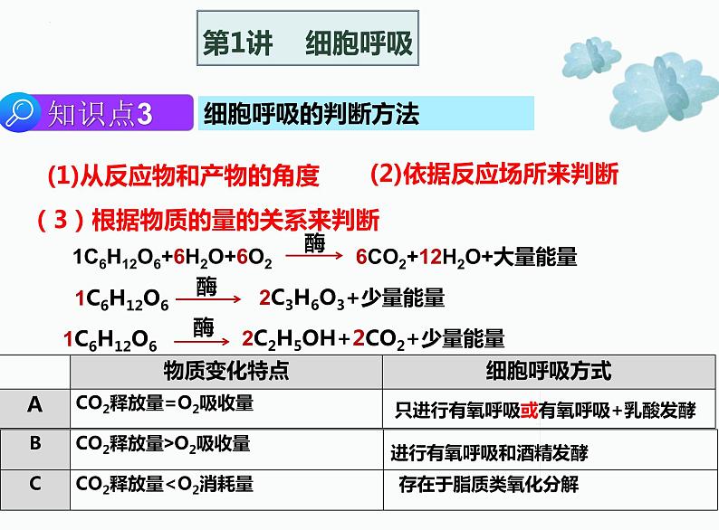 2022届高三生物二轮复习课件 专题四 细胞呼吸和光合作用第8页