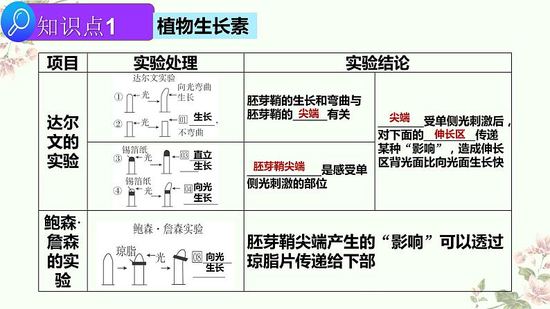 2022届高三生物二轮复习课件专题十  一   植物生命活动的调节第3页