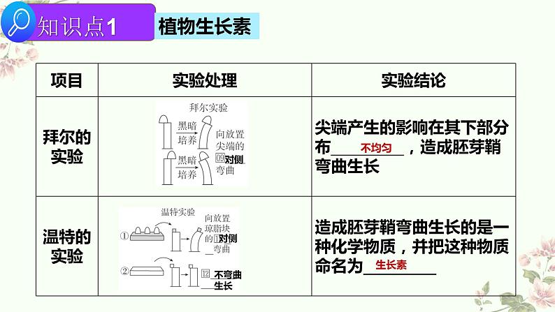 2022届高三生物二轮复习课件专题十  一   植物生命活动的调节第4页