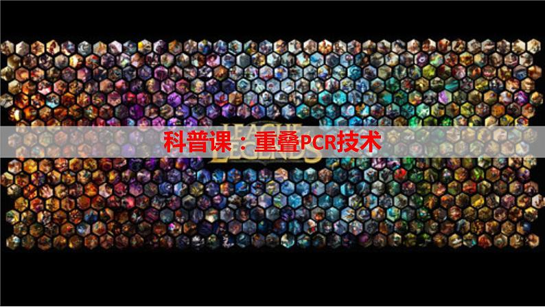 2023届高三二轮复习生物：PCR技术1-重叠PCR技术课件第1页