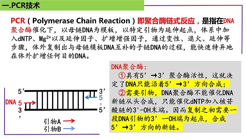 2023届高三二轮复习生物：PCR技术1-重叠PCR技术课件第3页