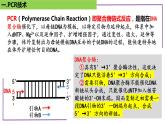 2023届高三二轮复习生物：PCR技术1-重叠PCR技术课件