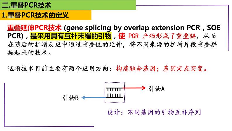 2023届高三二轮复习生物：PCR技术1-重叠PCR技术课件第4页