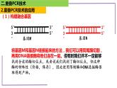 2023届高三二轮复习生物：PCR技术1-重叠PCR技术课件