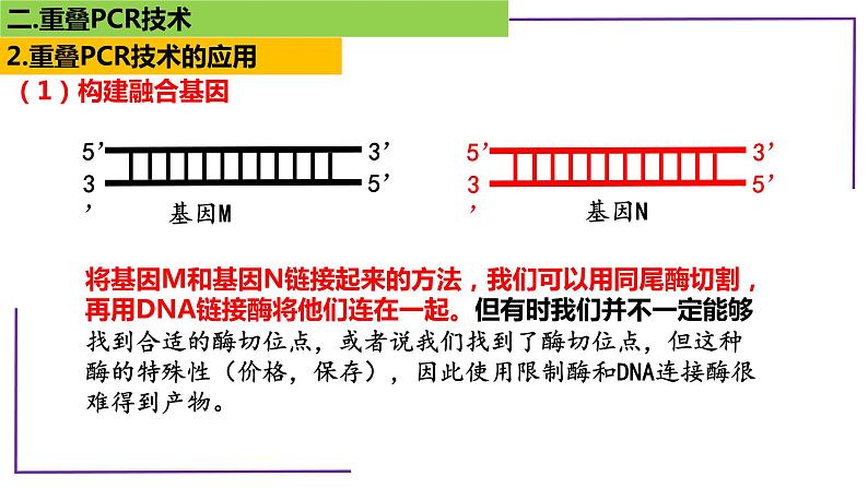 2023届高三二轮复习生物：PCR技术1-重叠PCR技术课件第5页