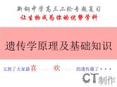 2023届高三二轮复习生物：遗传学原理及相关基础知识课件