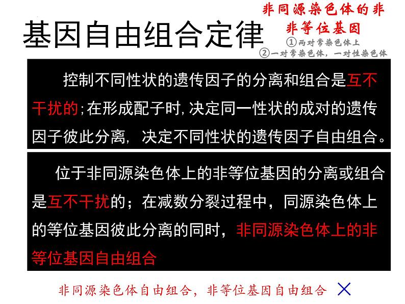 2023届高三二轮复习生物：遗传学原理及相关基础知识课件07