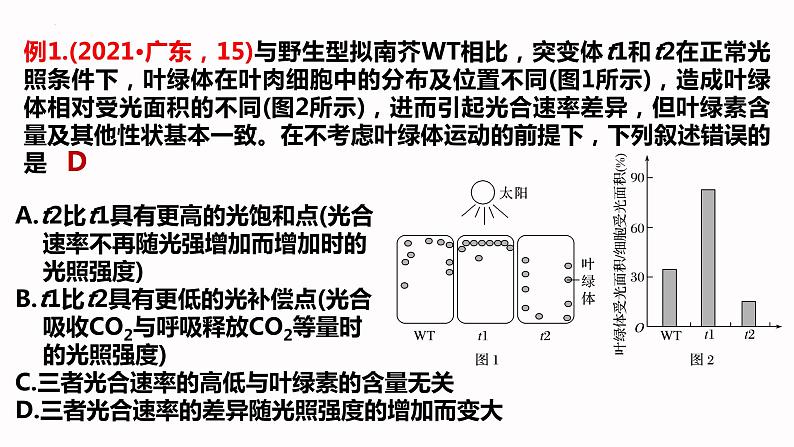 2023届高三二轮复习生物：影响光合作用的因素公开课 课件第3页