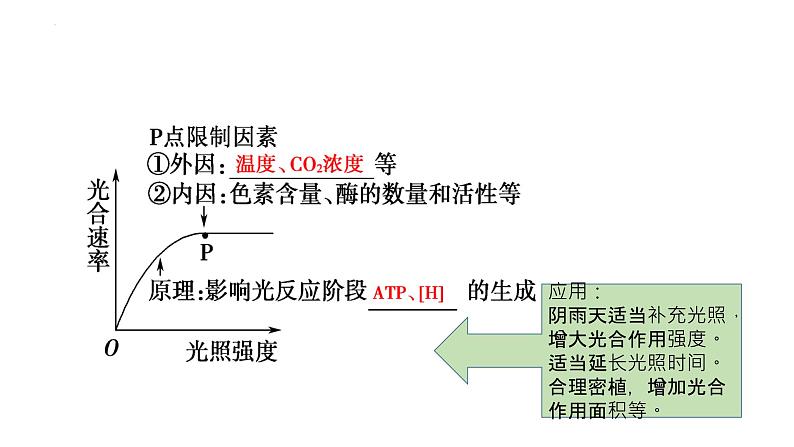 2023届高三二轮复习生物：影响光合作用的因素公开课 课件第5页