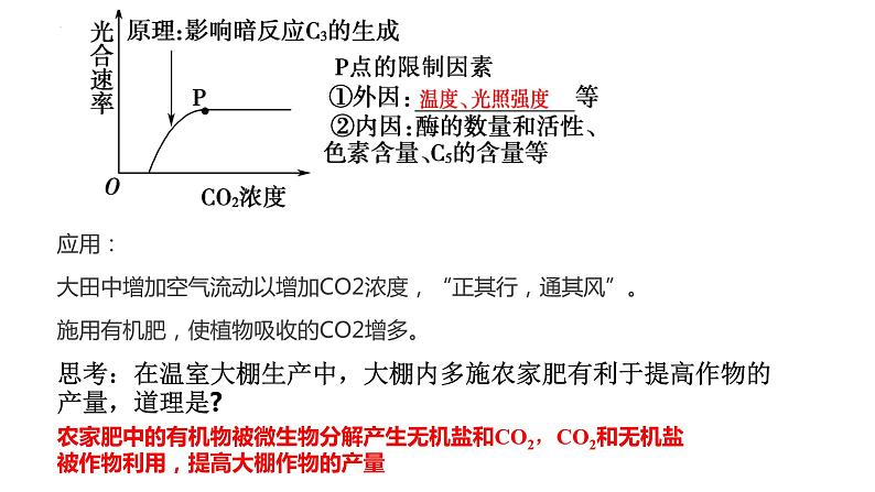 2023届高三二轮复习生物：影响光合作用的因素公开课 课件第6页