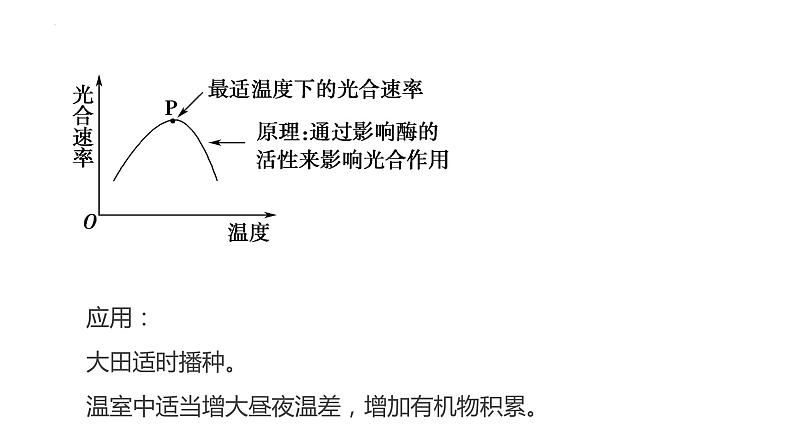 2023届高三二轮复习生物：影响光合作用的因素公开课 课件第8页