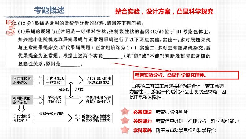 2023届高三生物二轮复习课件遗传的基本规律考题分析第3页