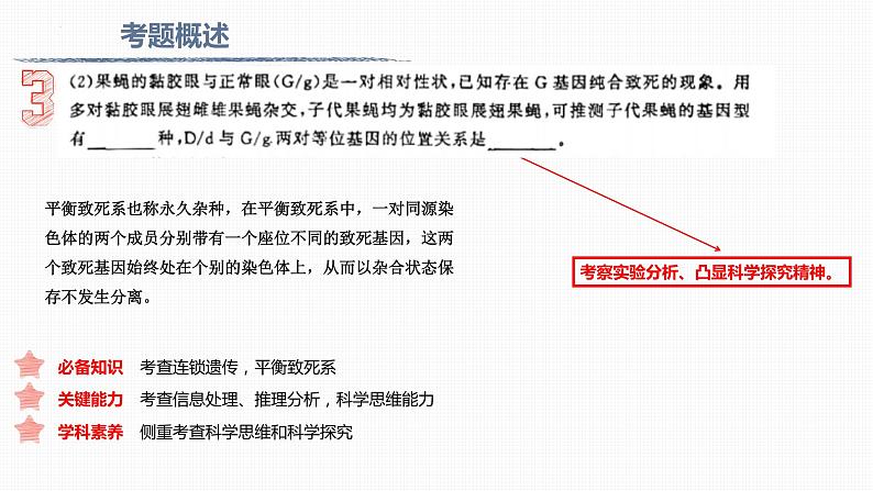 2023届高三生物二轮复习课件遗传的基本规律考题分析第4页