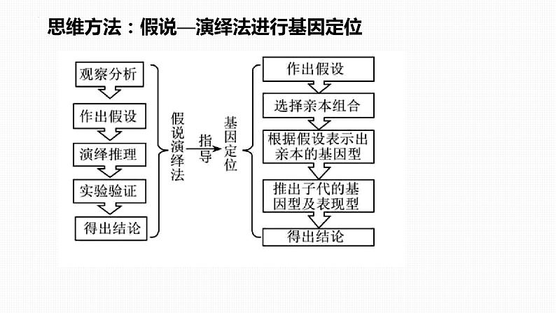 2023届高三生物二轮复习课件遗传的基本规律考题分析第6页