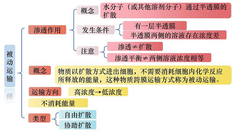 2023届高三生物一轮复习课件 细胞的物质输入与输出（一）第2页