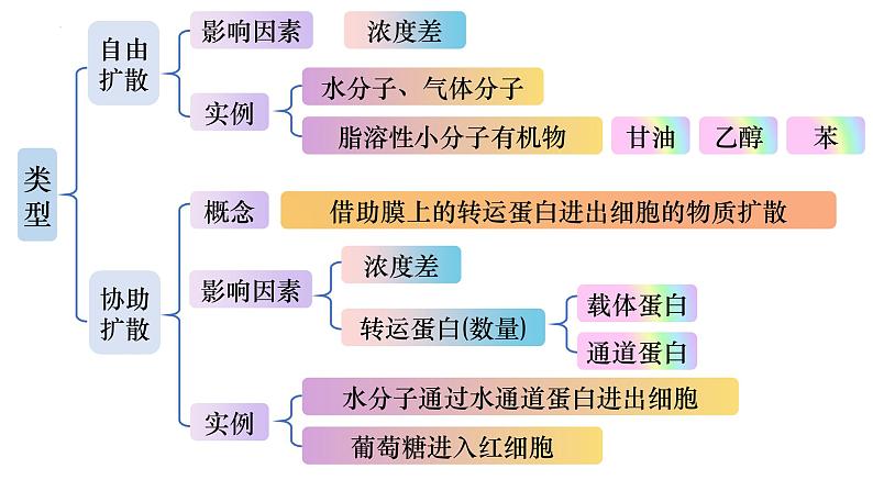 2023届高三生物一轮复习课件 细胞的物质输入与输出（一）第3页