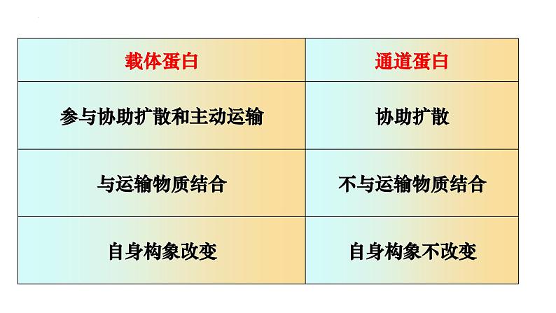 2023届高三生物一轮复习课件 细胞的物质输入与输出（一）第4页