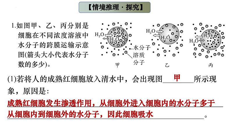 2023届高三生物一轮复习课件 细胞的物质输入与输出（一）第7页