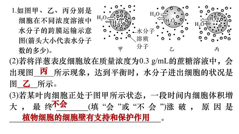 2023届高三生物一轮复习课件 细胞的物质输入与输出（一）第8页