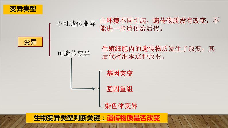 2023届高三生物复习课件第五章基因突变和其他变异——可遗传变异以及育种总结第3页