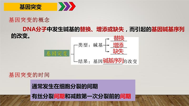 2023届高三生物复习课件第五章基因突变和其他变异——可遗传变异以及育种总结第4页