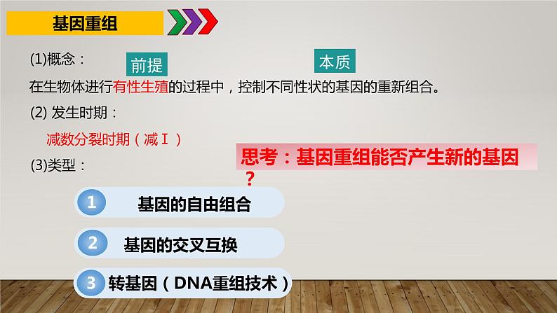 2023届高三生物复习课件第五章基因突变和其他变异——可遗传变异以及育种总结第5页