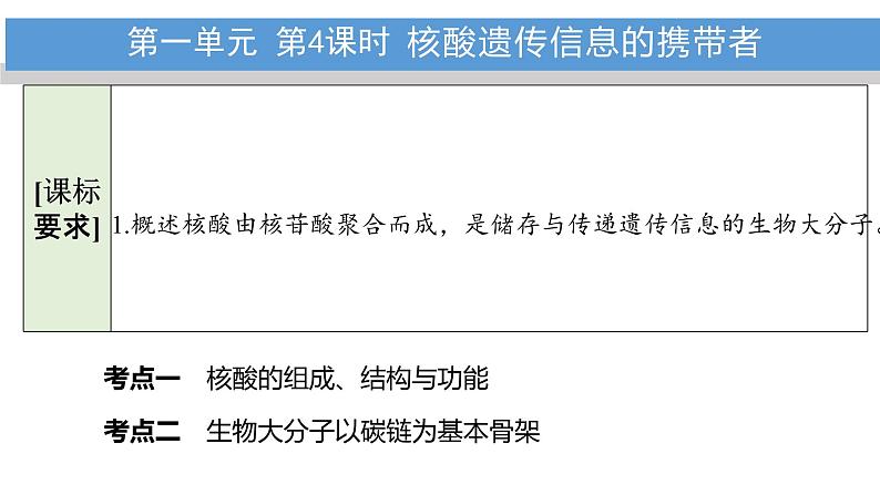 2023届高三生物复习课件核酸遗传信息的携带者02