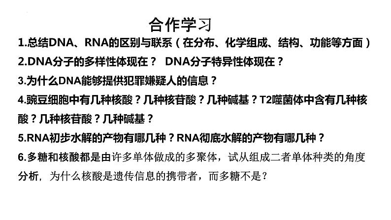 2023届高三生物复习课件核酸遗传信息的携带者05